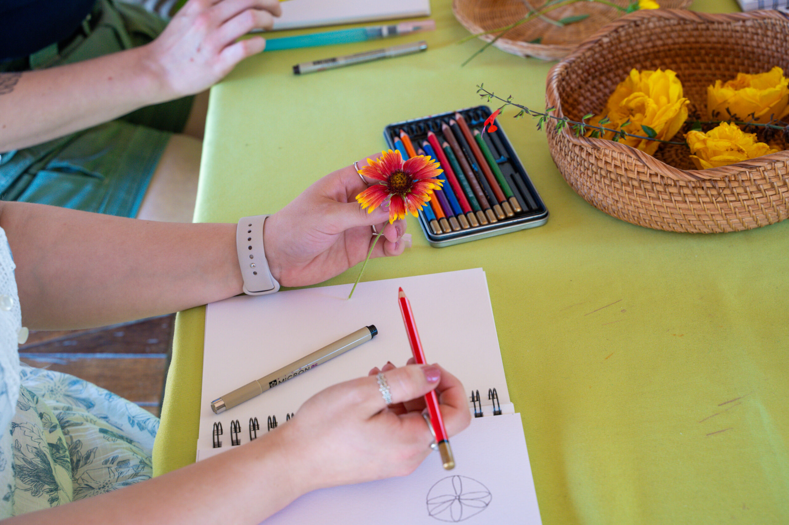 Introduction to Nature Journaling Workshop: Line & Shape