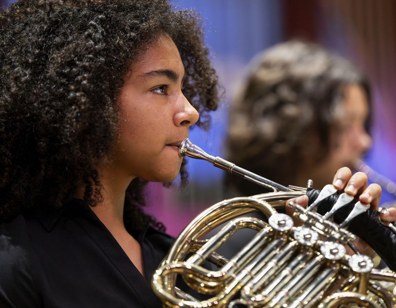 Spring Chamber Ensembles — Naples Philharmonic Youth Orchestra