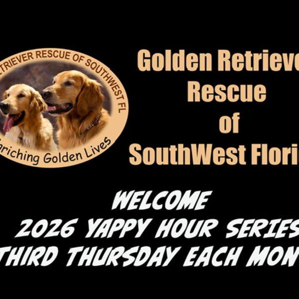 Yappy Hour at Bay Street Yard