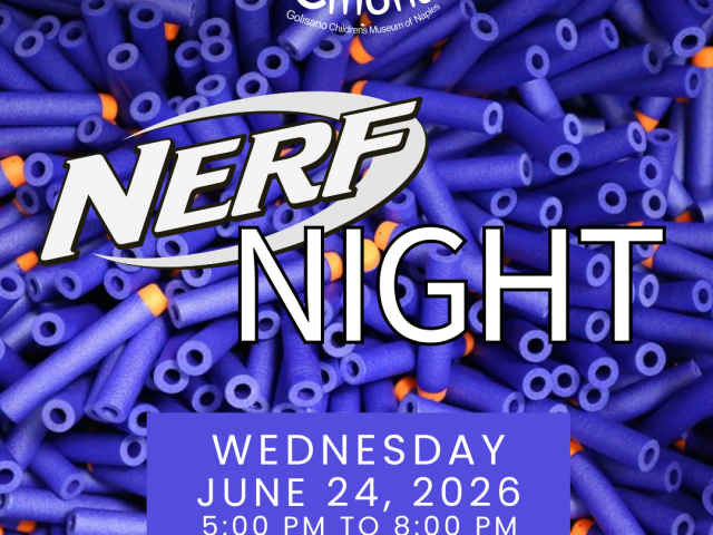 Nerf Night