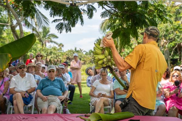 Tasting the Tropics