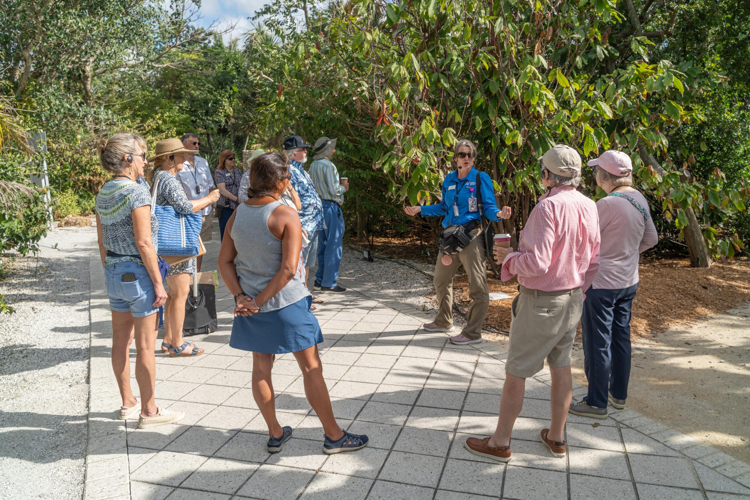 Daily Tours
