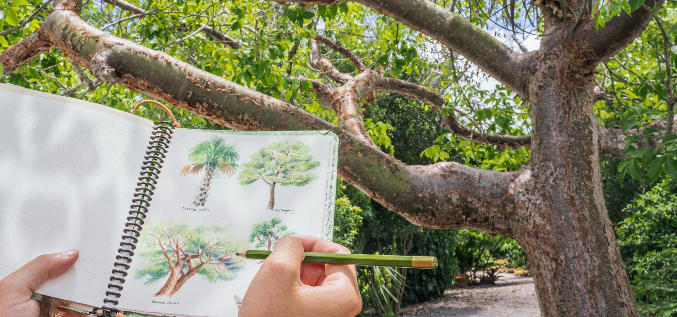 Advanced Nature Journaling Workshop: Form, Space & Texture