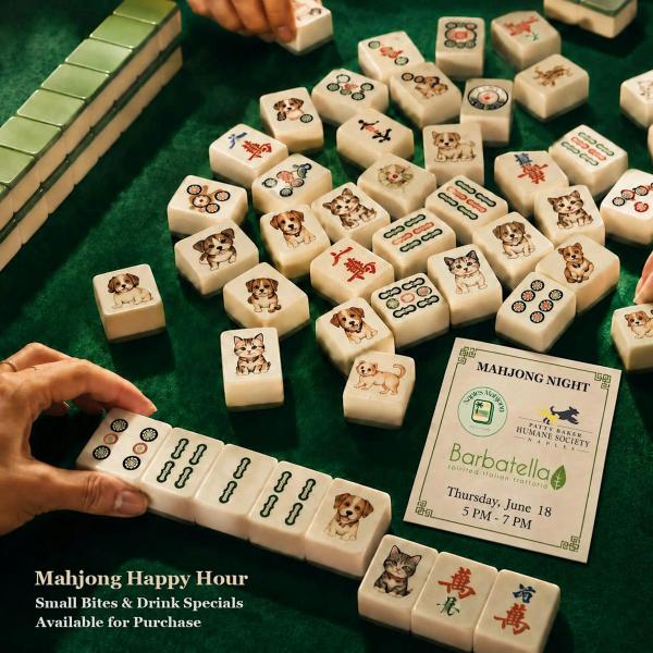 Mahjong with The Patty Baker Humane Society Naples | Barbatella