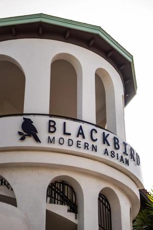Blackbird Modern Asian 3