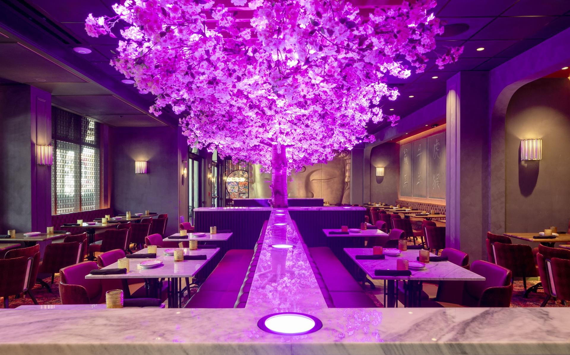 Blackbird Modern Asian 1